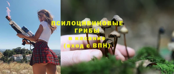 Альфа ПВП Инта