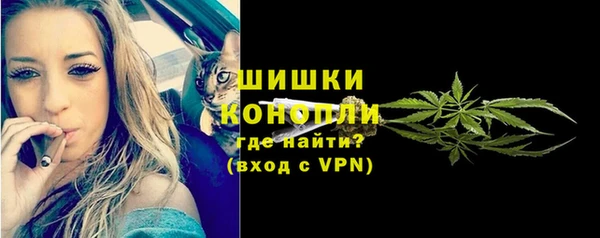 Альфа ПВП Инта