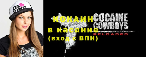 Альфа ПВП Инта