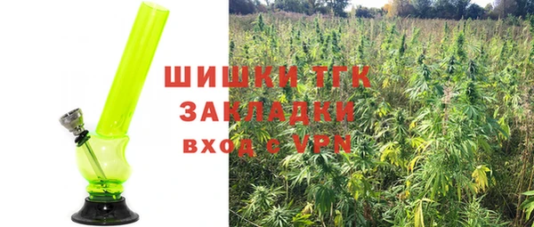 Альфа ПВП Инта