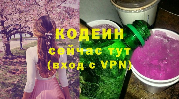 Альфа ПВП Инта