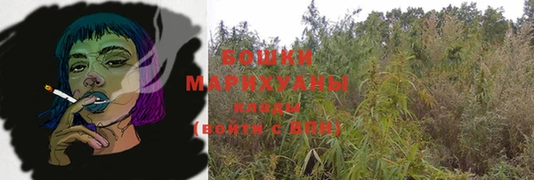 Альфа ПВП Инта