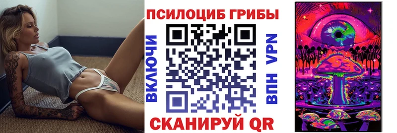 Псилоцибиновые грибы Psilocybe  Купить где  Волоколамск 